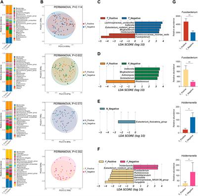 Gut Microbiota Signatures in Tumor, Para-Cancerous, Normal Mucosa, and Feces in Colorectal Cancer Patients